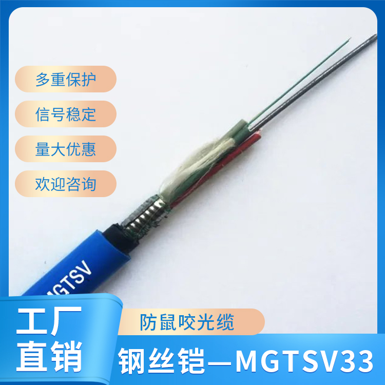 钢丝铠——MGTSV33