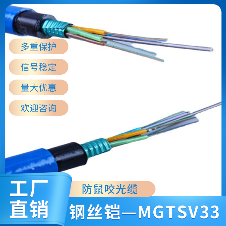 钢丝铠——MGTSV33